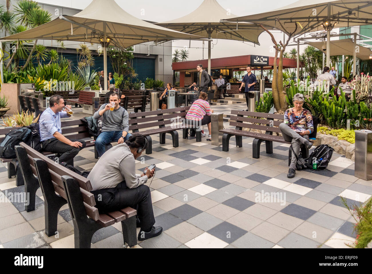 L'aéroport de Changi, à Singapour. Toit-jardin de cactus. Bar et fumeurs Banque D'Images L'aéroport de Changi, à Singapour. Toit-jardin de cactus. Bar et fumeurs Banque D'Images