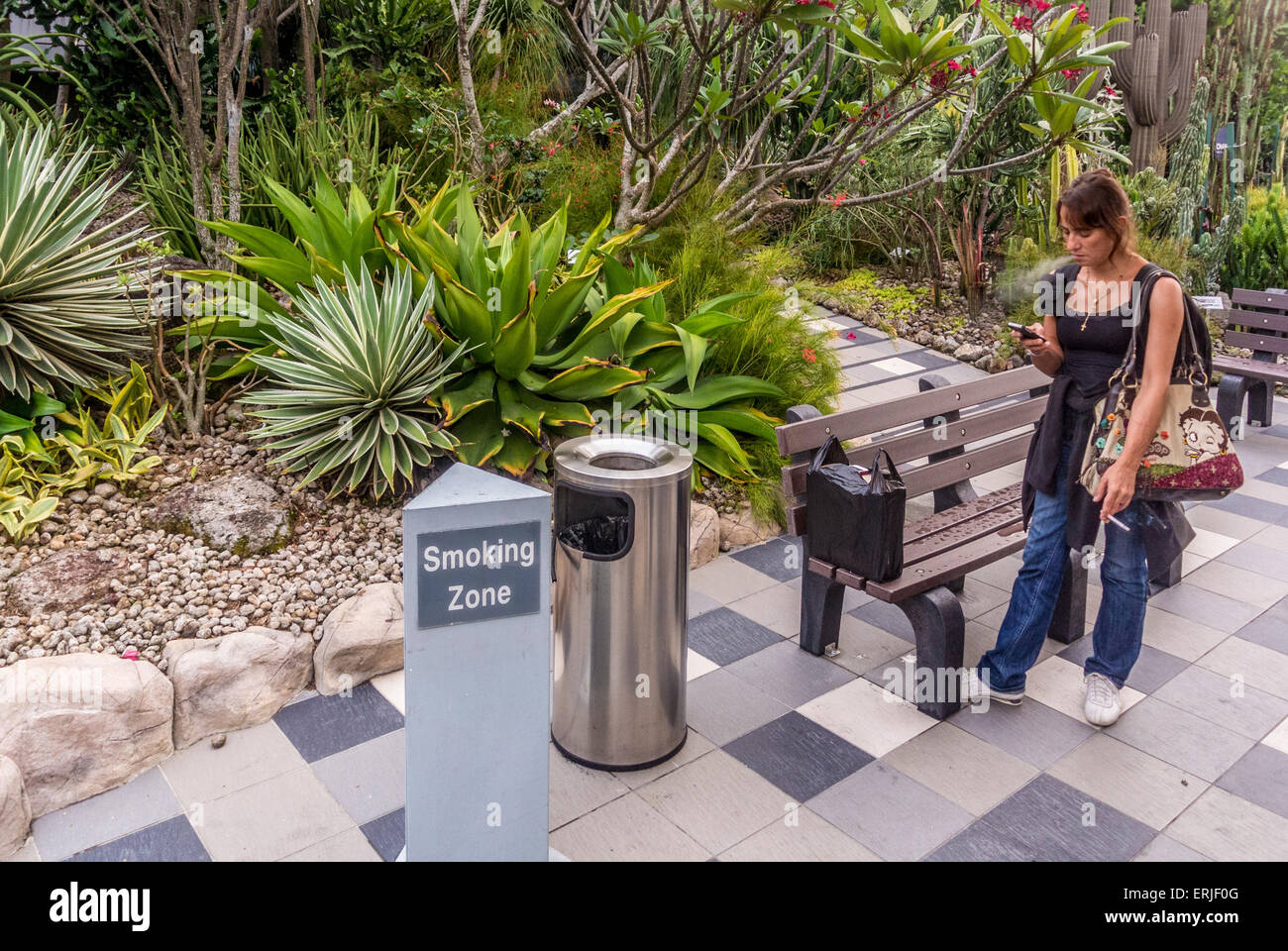L'aéroport de Changi, à Singapour. Toit-jardin de cactus. Fumeurs Banque D'Images