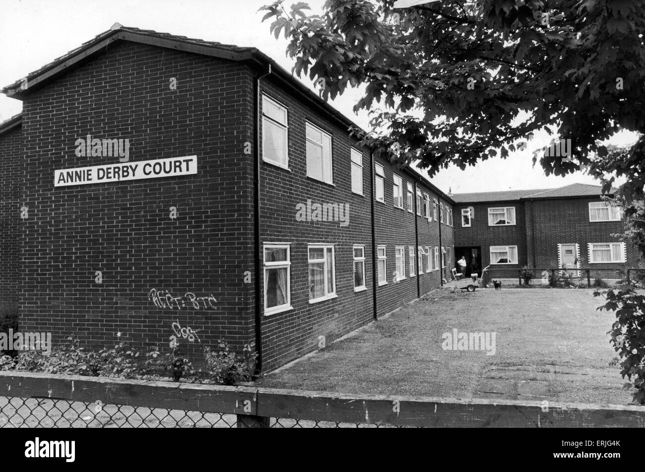 Annie Derby Cour dans Harpurhey, Manchester. Le personnel de ce Conseil exécuter bloc logements-foyers ont menacé de faire grève, à moins que trois locataires au centre du vice et allégations de violence familiale sont removied dans 48 heures. 1er juin 1989. Banque D'Images