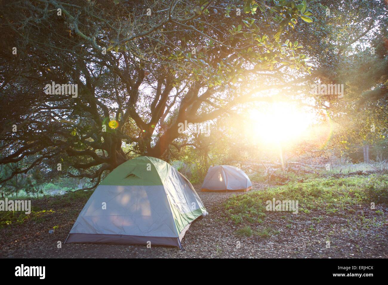 Camping à Angel Island State Park à San Francisco, Californie Banque D'Images