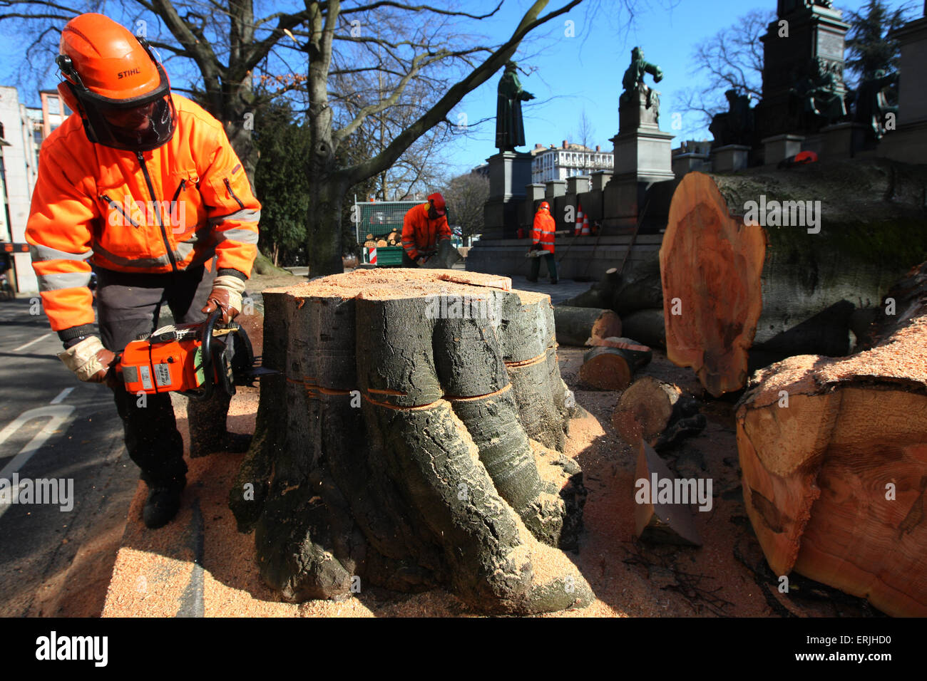 Réductions travailleur un arbre Banque D'Images