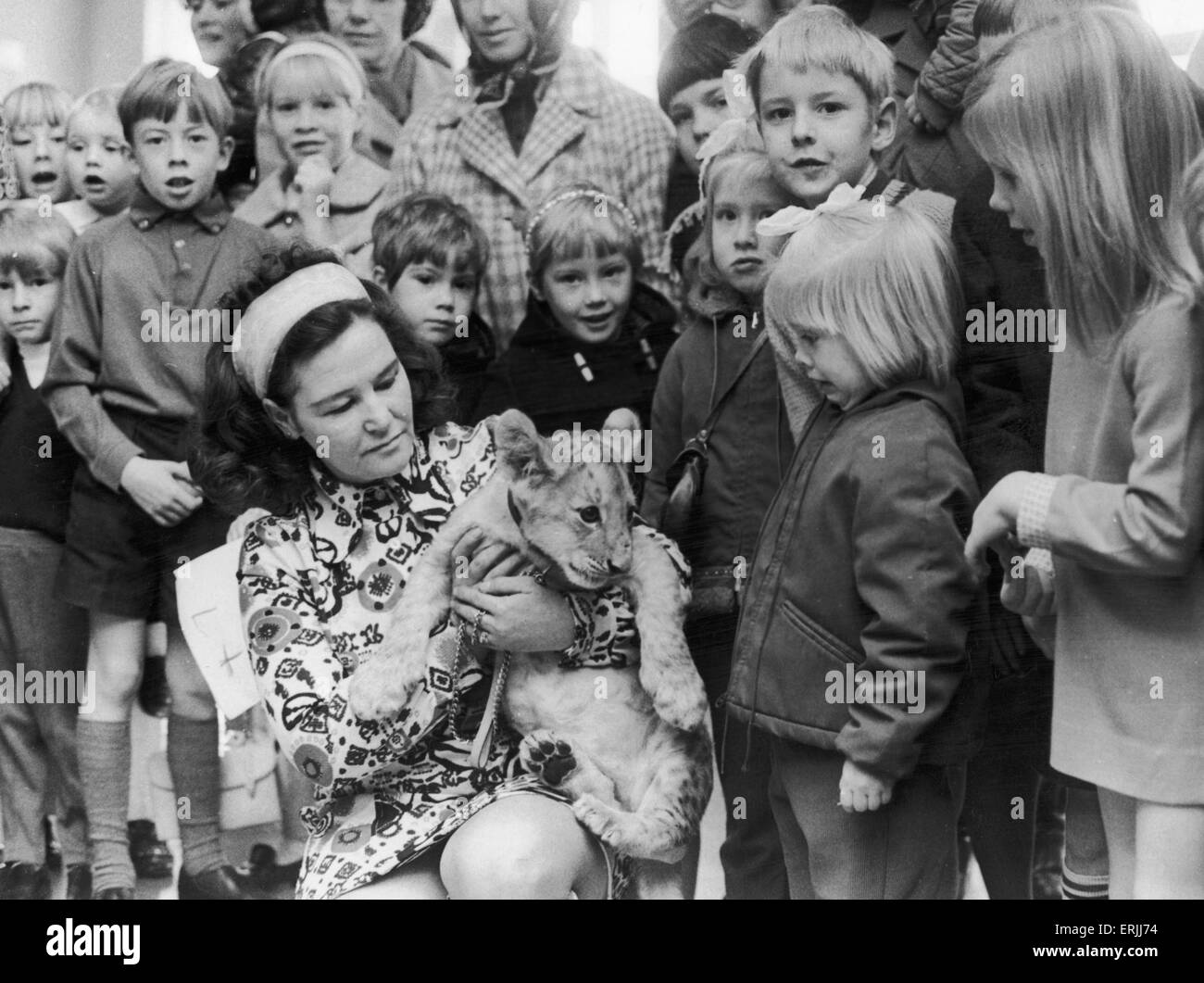 Mme Maureen Waite, Zoo de Coventry est titulaire Richard le lion cub après qu'il avait ouvert un salon de Noël organisé par le Club à Bulkington mère la salle paroissiale. 21 Novembre 1970 Banque D'Images