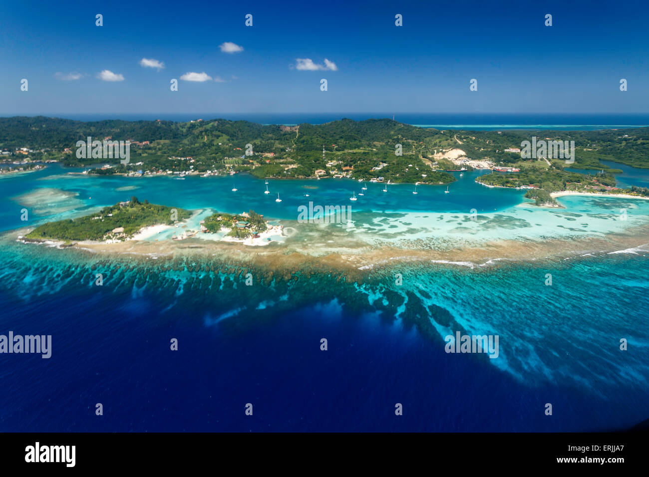 Image aérienne de coraux au large de l'île de Roatan Banque D'Images