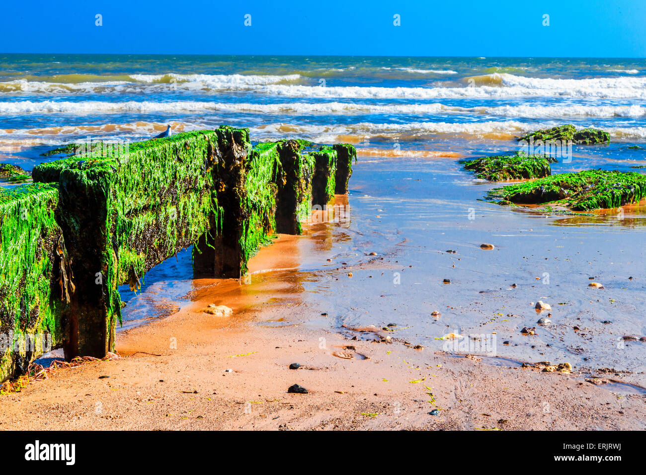 Scènes de plage à Exmouth, dans le sud du Devon, England, UK Banque D'Images