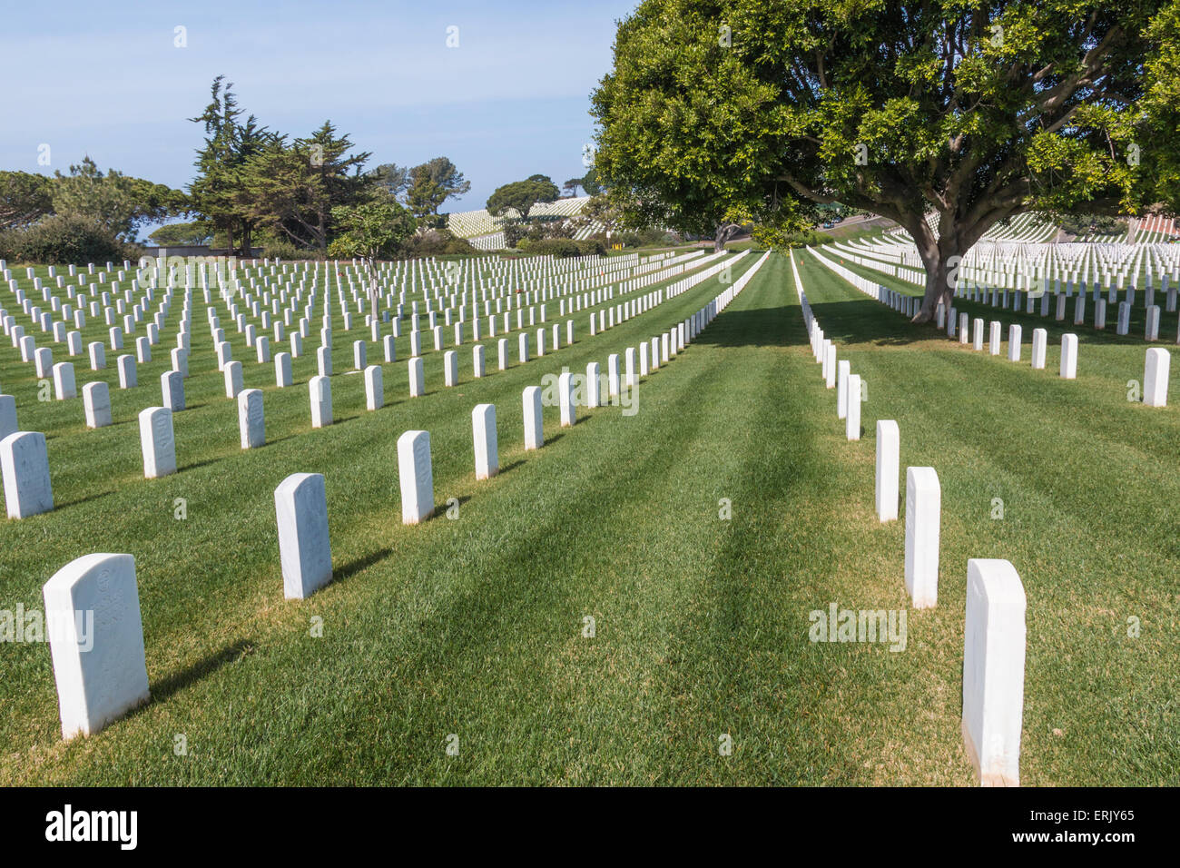 'Fort Rosecrans National Cemetery' sur la péninsule de Point Loma de San Diego. Banque D'Images