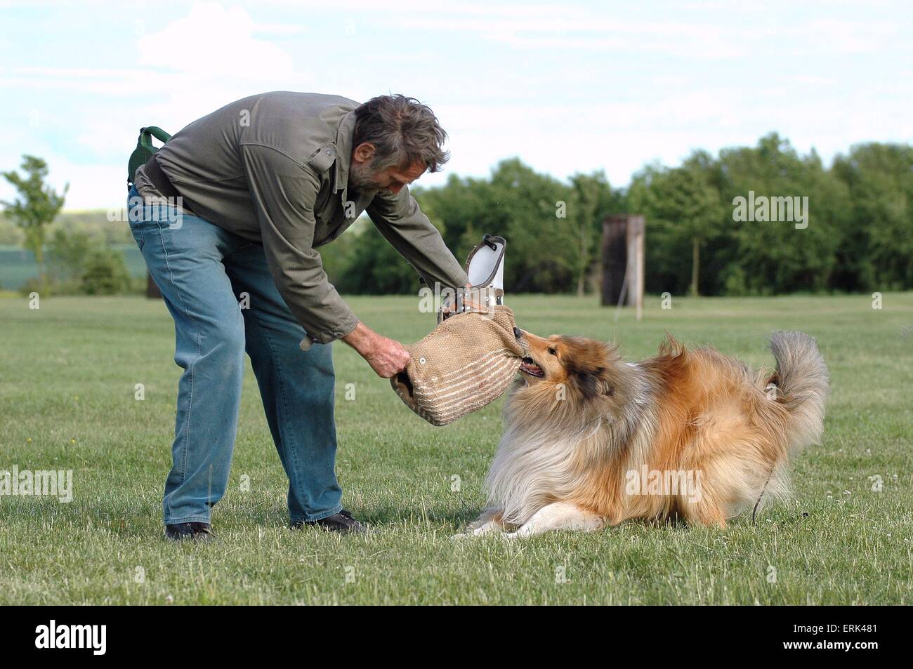 Chien de garde de forage Banque D'Images