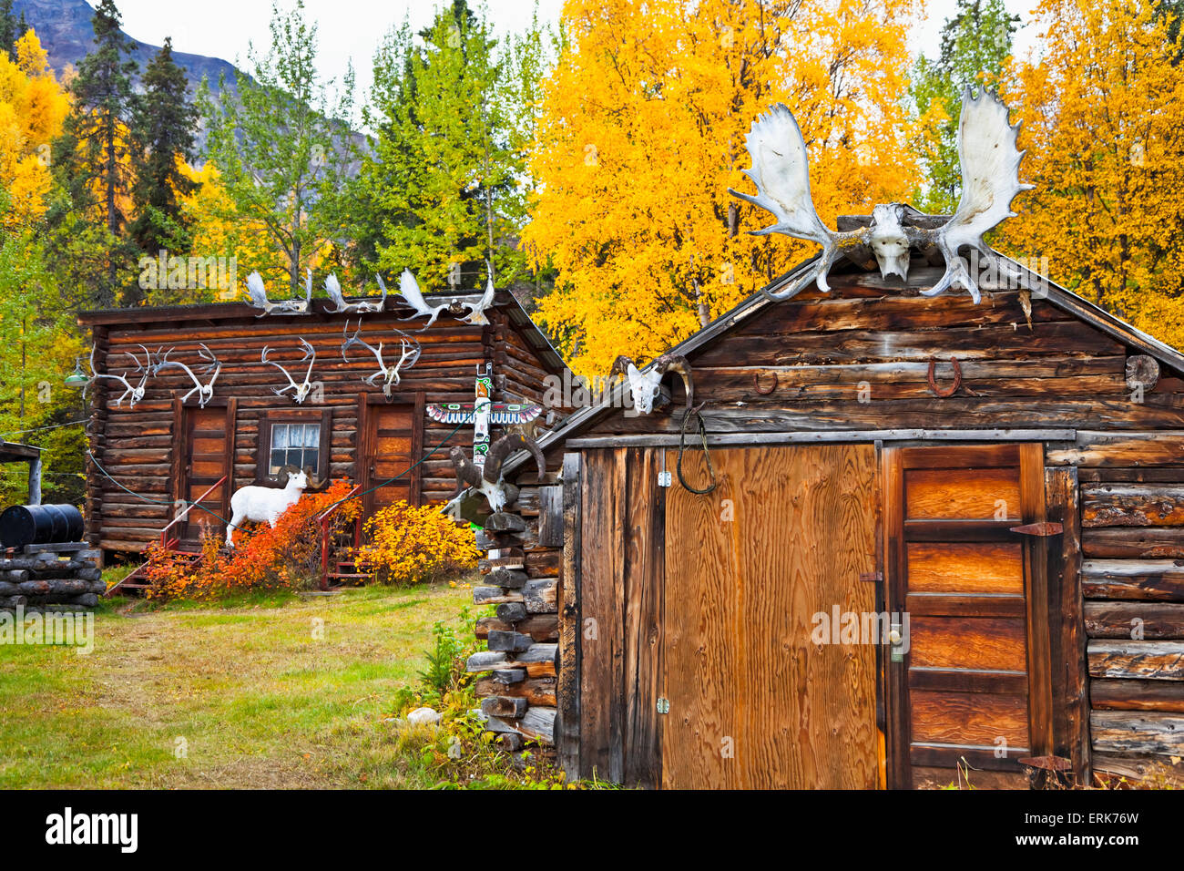 Alaska,Log Cabin,st elias wrangell -. Banque D'Images