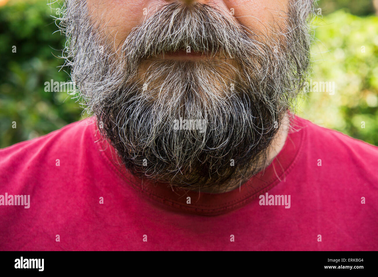 Homme barbu, beard, poivre et sel rouge, couleur t-shirt Photo Stock - Alamy