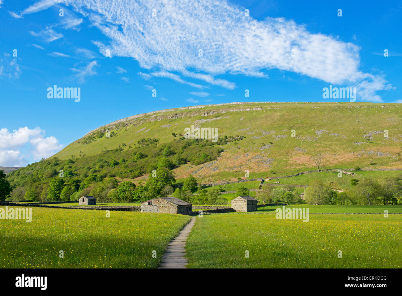 Domaine des granges près de Muker, Swaledale, Yorkshire Dales National Park, North Yorkshire, England UK Banque D'Images