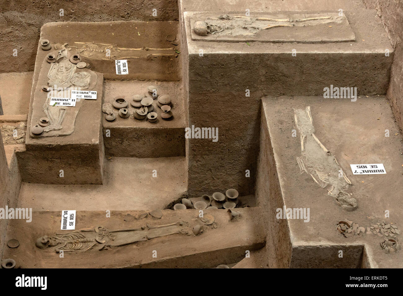 Site archéologique de Ban Prasat, anciennes tombes, des squelettes, des poteries, objets funéraires, Phimai, Korat, Nakhon Ratchasima Province Banque D'Images