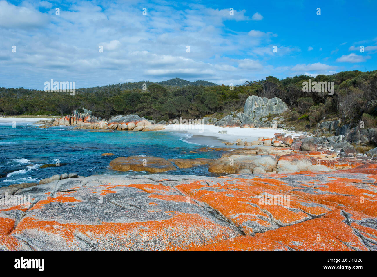 Plage, Baie de Feu, Tasmanie, Australie Banque D'Images