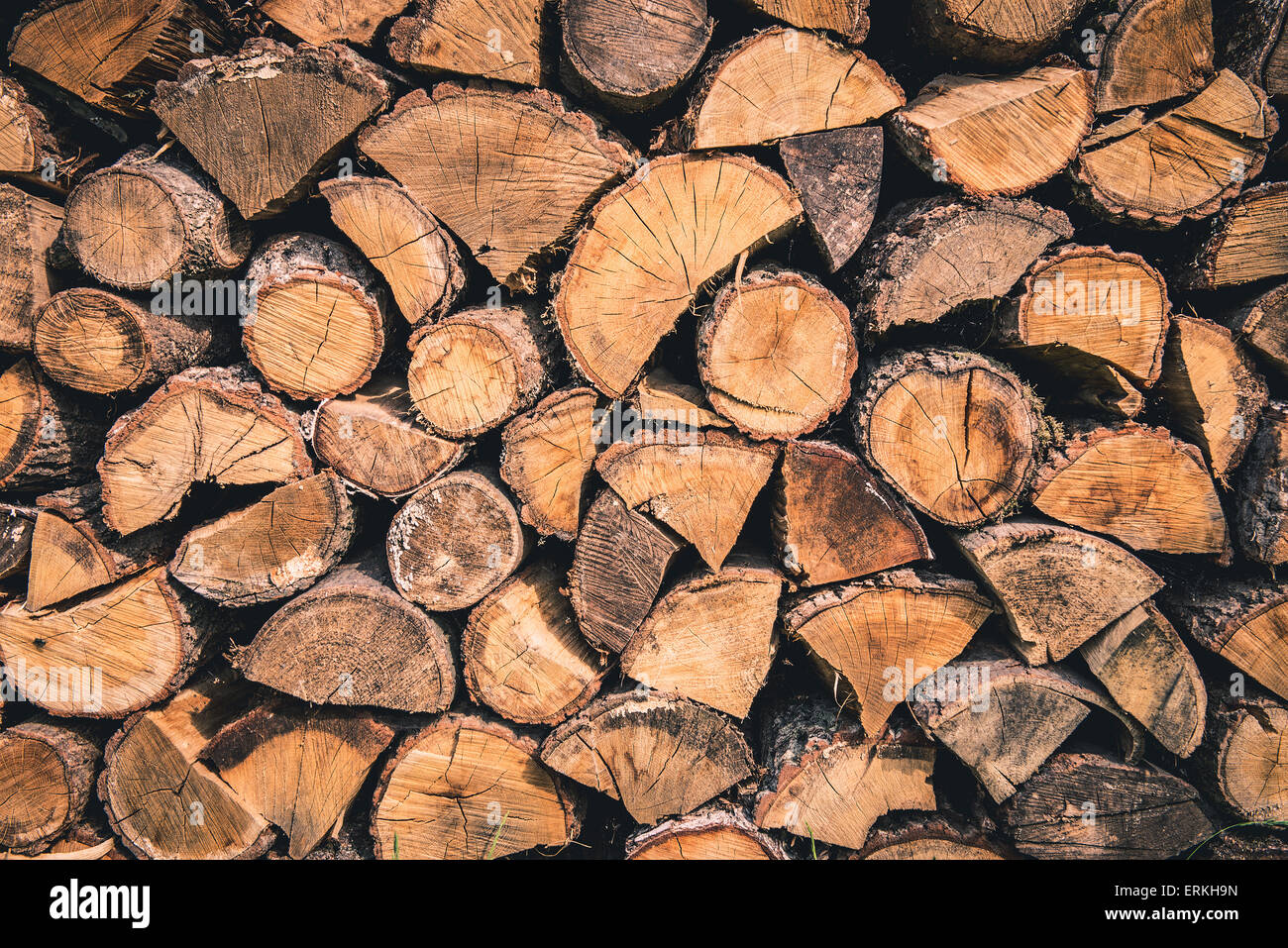 Texture bois avec de belles fissures de l'arbre et les anneaux de croissance des arbres. Banque D'Images