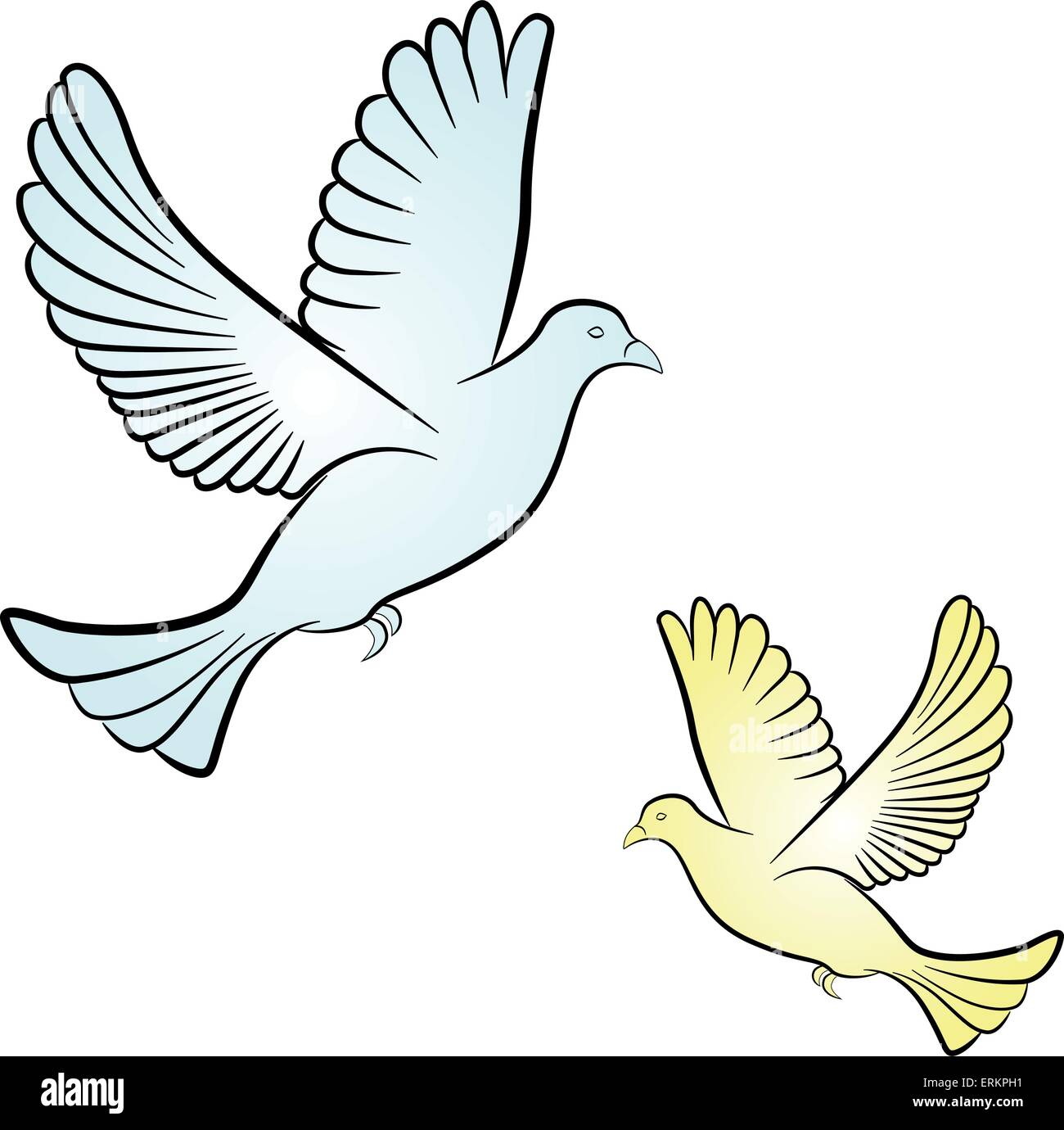 Vector illustration de colombe sur fond blanc Illustration de Vecteur