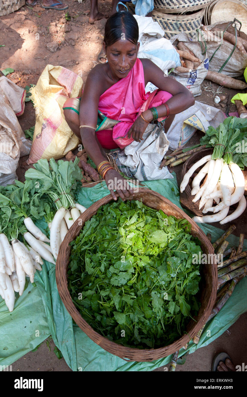 Mali tribeswoman en sari rose vente de la coriandre fraîche et au Mali radis blanc tribal, Guneipada marché hebdomadaire, Orissa, Inde Banque D'Images