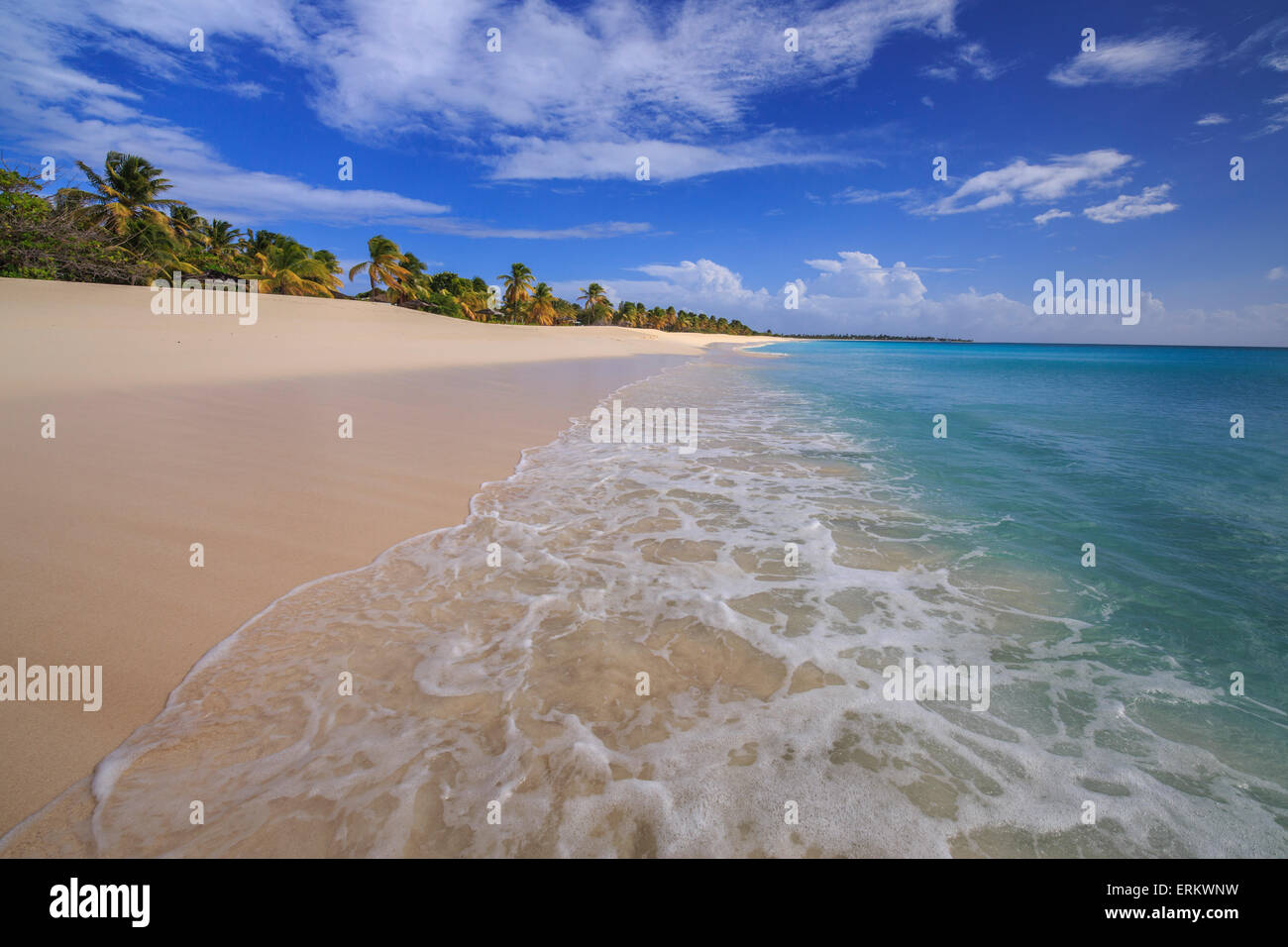 La plage déserte de K-Club, situé non loin du village, fermée depuis 2004, Barbuda, Antigua et Barbuda, Iles sous le vent Banque D'Images