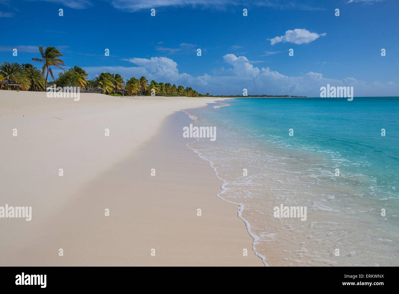 Le clapotis des cocotiers sur la plage de K-Club, mince bande de sable donnant sur la mer des Caraïbes, Barbuda Banque D'Images