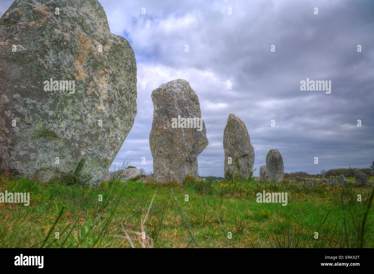 Pierres mégalithiques dans le Menec Alignement à Carnac, Bretagne, France, Europe Banque D'Images