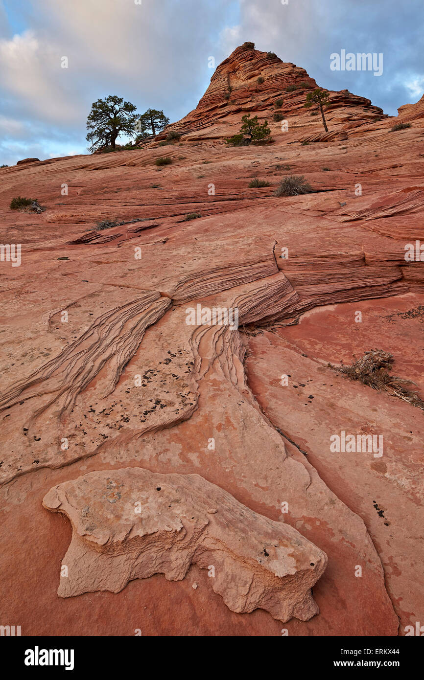 Cône de grès et de nuages, Zion National Park, Utah, États-Unis d'Amérique, Amérique du Nord Banque D'Images