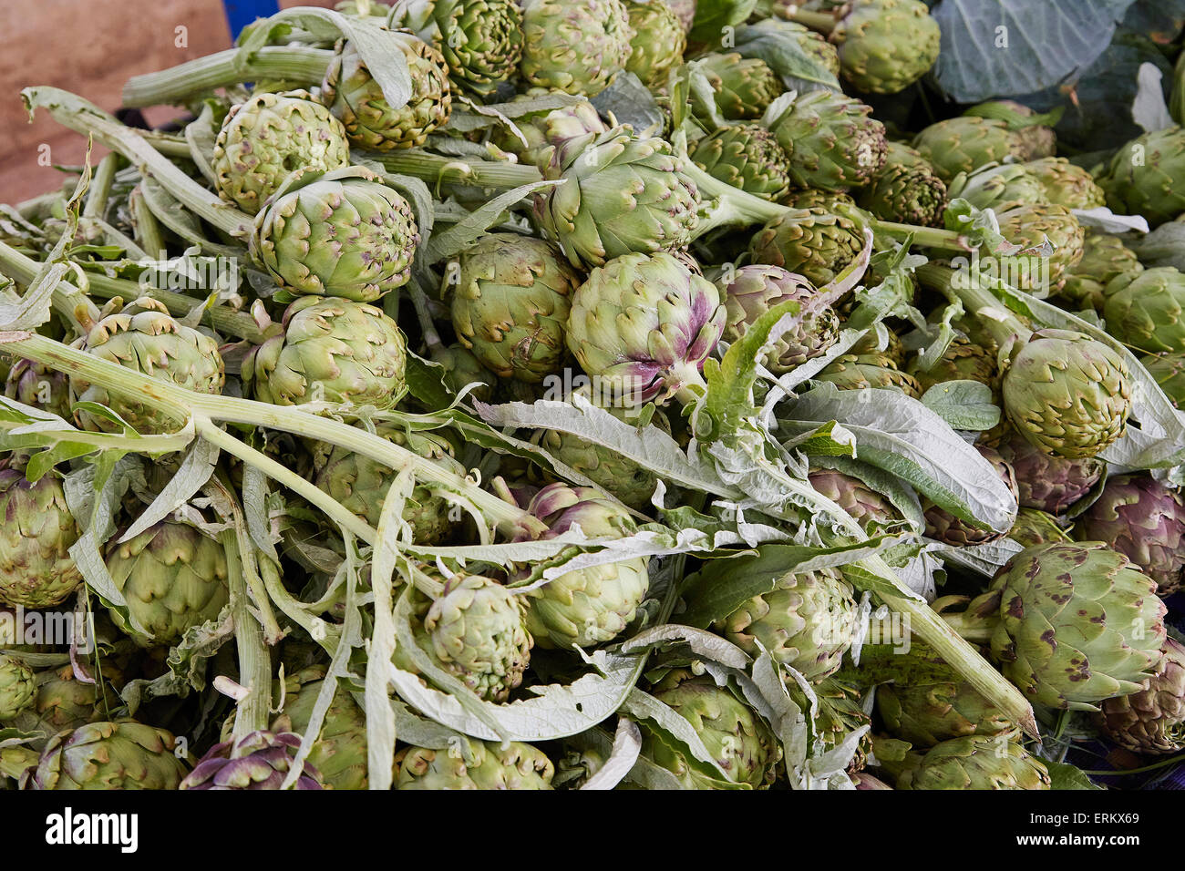 Une pile d'artichauts frais dans le marché du mardi à Istanbul, Turquie. Banque D'Images