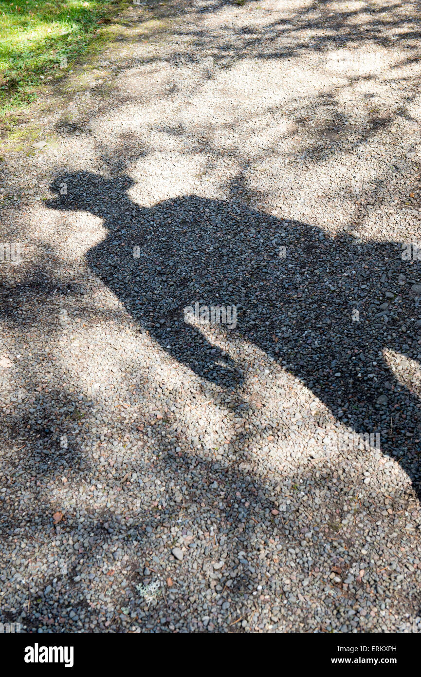Ombre d'un homme portant un chapeau à large dans la lumière du soleil. UK Banque D'Images