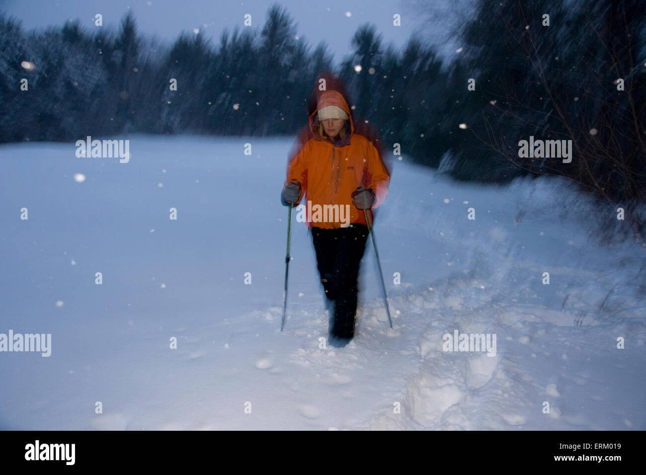 Femme et son chien se promener sur une soirée d'hiver, Lovell, Maine. (Faites glisser l'obturateur) Banque D'Images