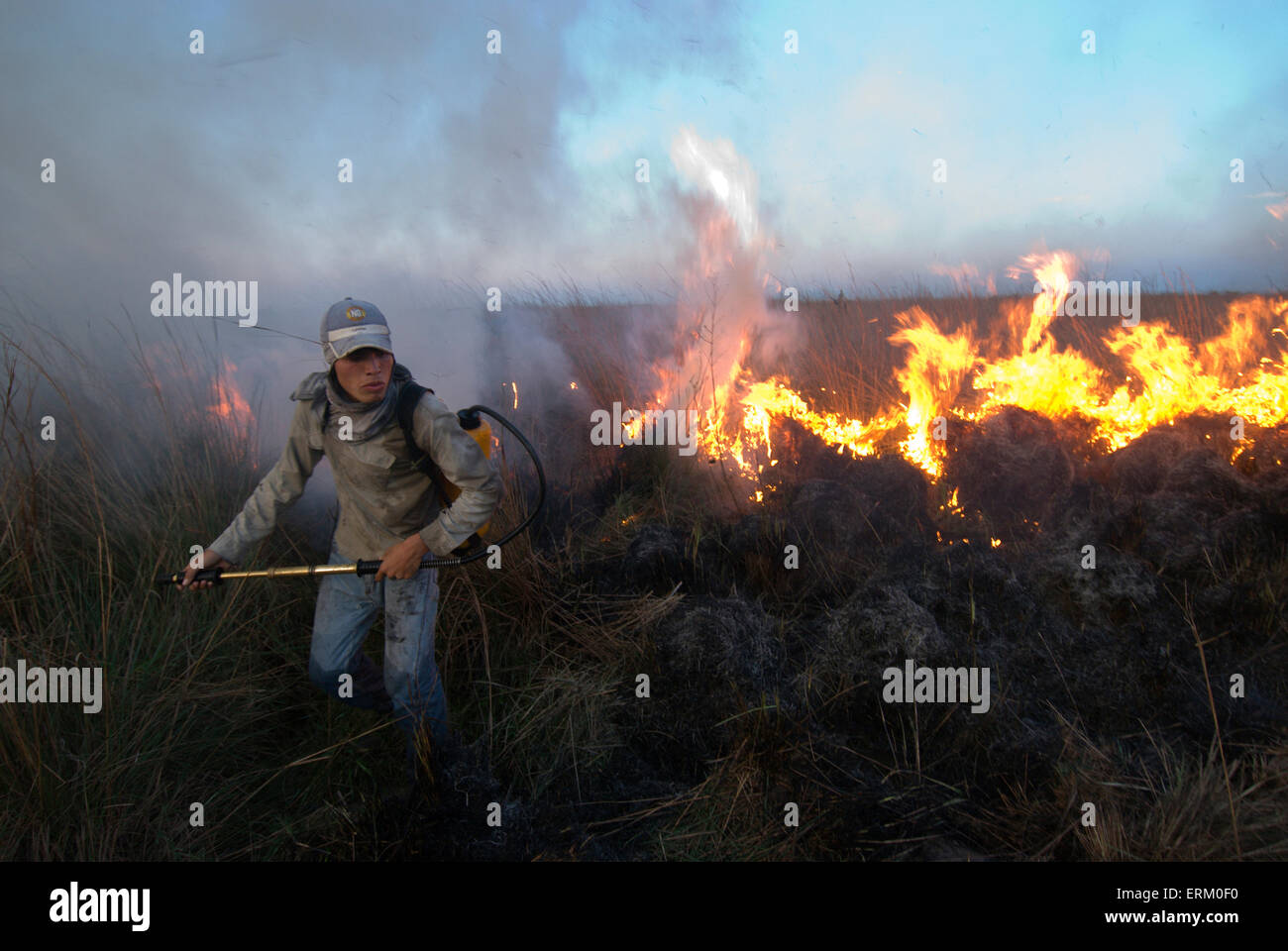 Les travailleurs n'Ranch un brûlage contrôlé de hautes herbes dans les prairies d'Estancia Rincon del Socorro, Esteros del Ibera, Corrientes Banque D'Images