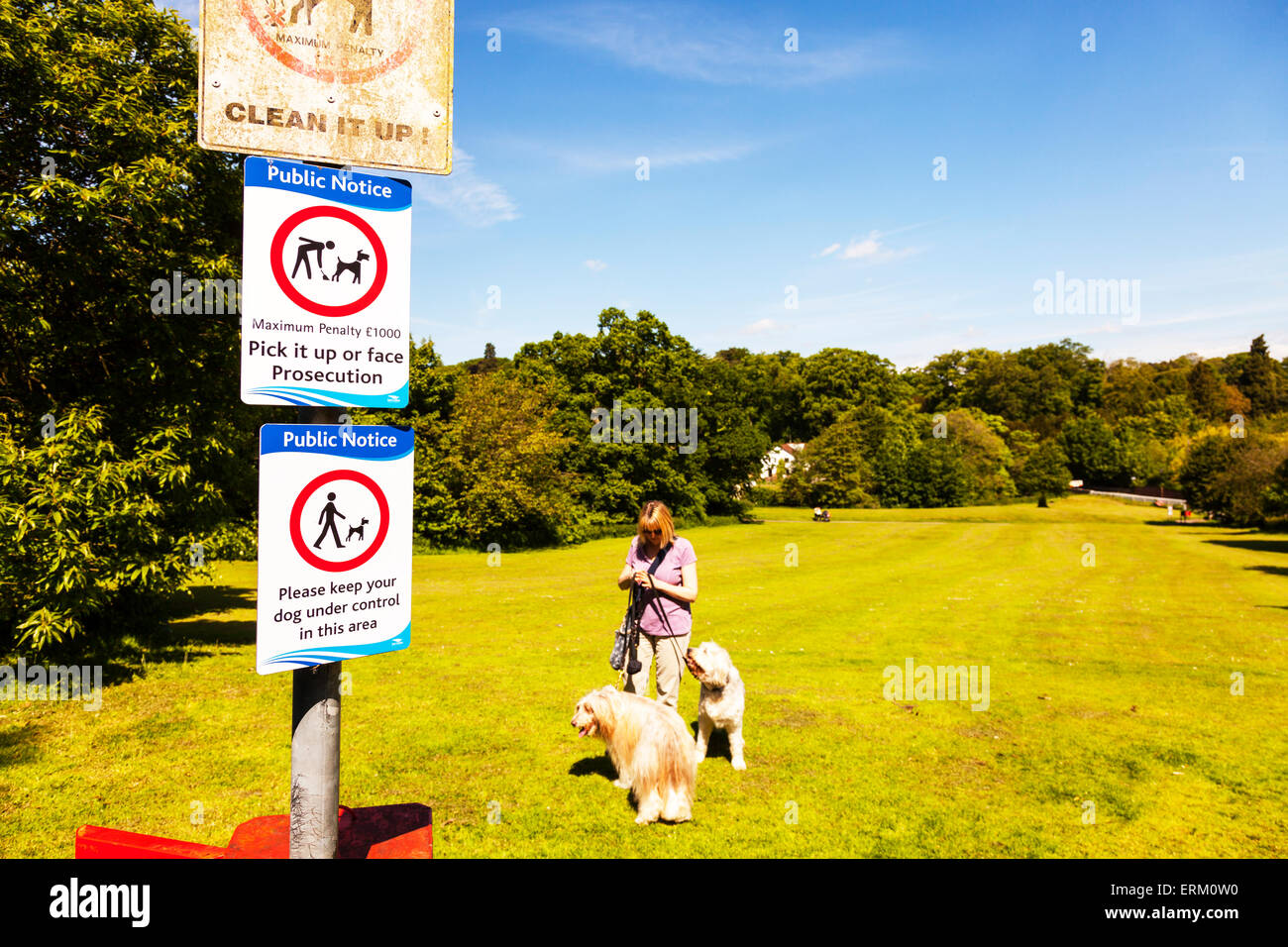 Panneaux d'avertissement de chien ramasser après maintenir les chiens sous contrôle panneau d'avertissement de l'avis avis importants UK Angleterre Banque D'Images