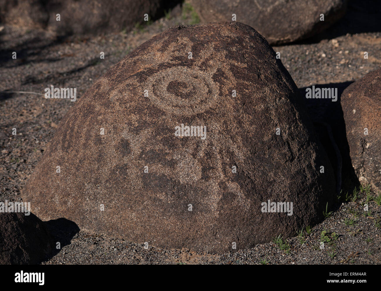 Site de pétroglyphes peint Rock, Arizona, United States Banque D'Images