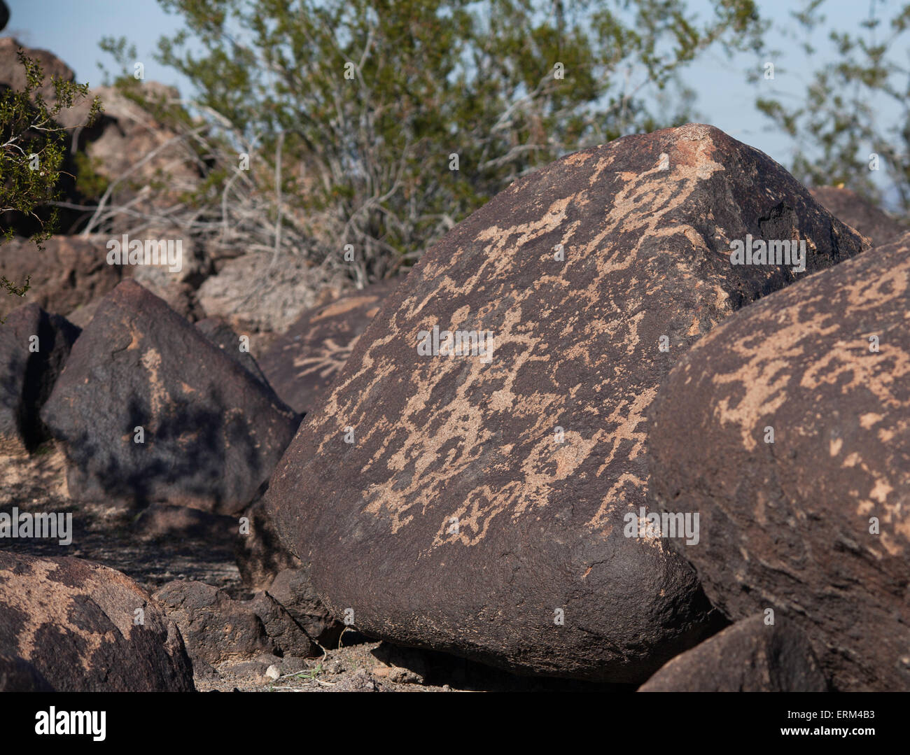 Site de pétroglyphes peint Rock, Arizona, United States Banque D'Images
