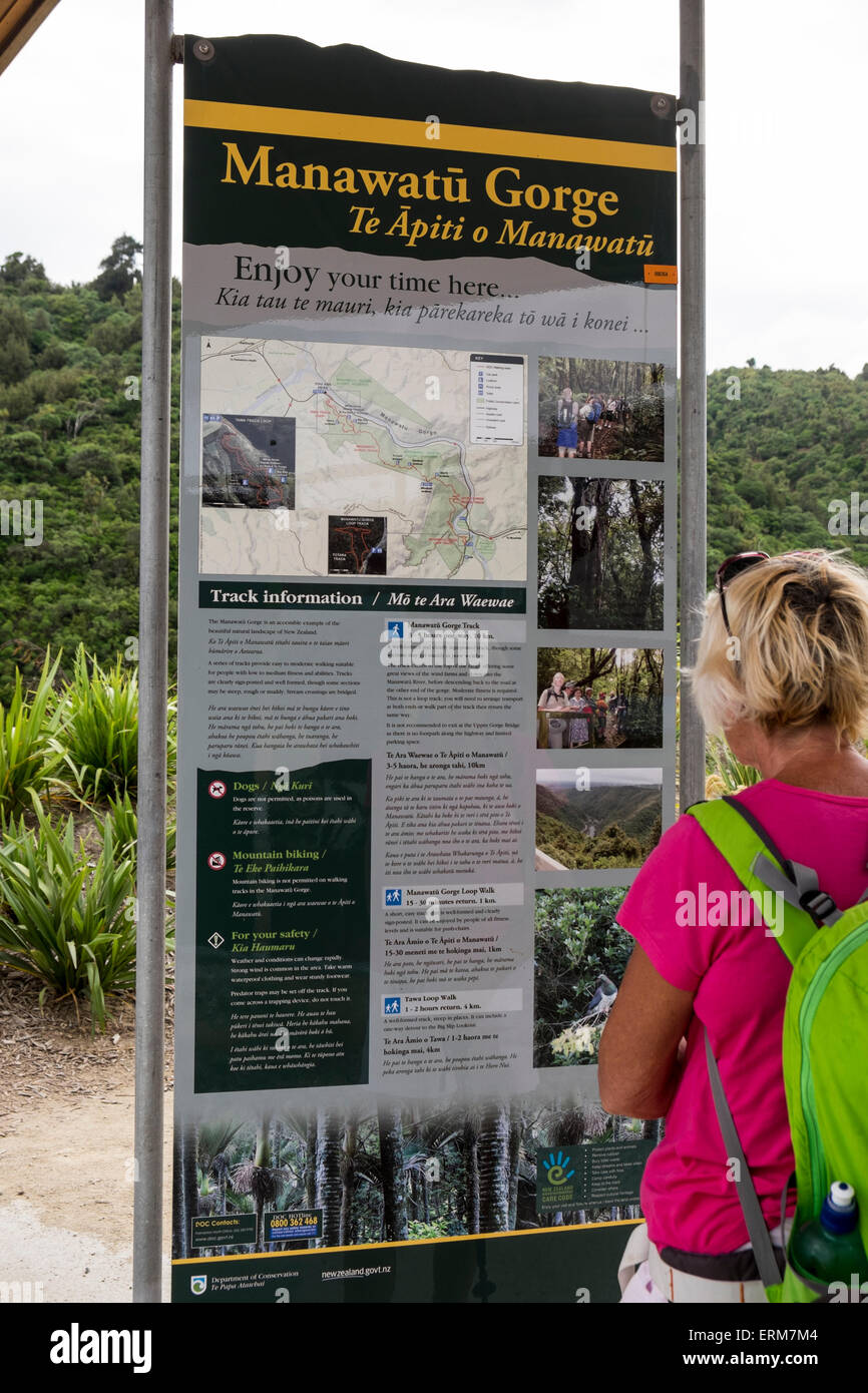 Femme lisant l'information board walker au début de la Gorge de Manawatu à pied, en Nouvelle-Zélande. Banque D'Images