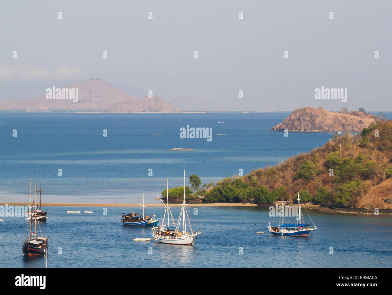 Bateaux dans le port, Labuan Bajo, Flores, à l'Est de Nusa Tenggara, en Indonésie Banque D'Images