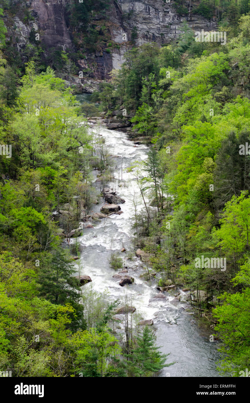 Le flux de la rivière Quelimane lourdement par le haut des Gorges de Tallulah lors d'une presse Banque D'Images