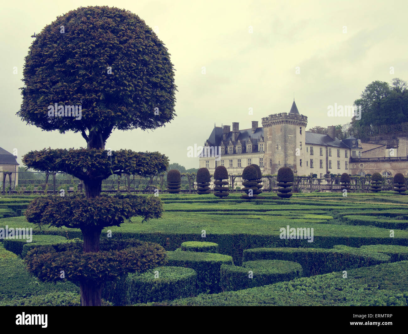 Le jardin d'ornement au Château Villandry dans la région de la Loire de France Banque D'Images
