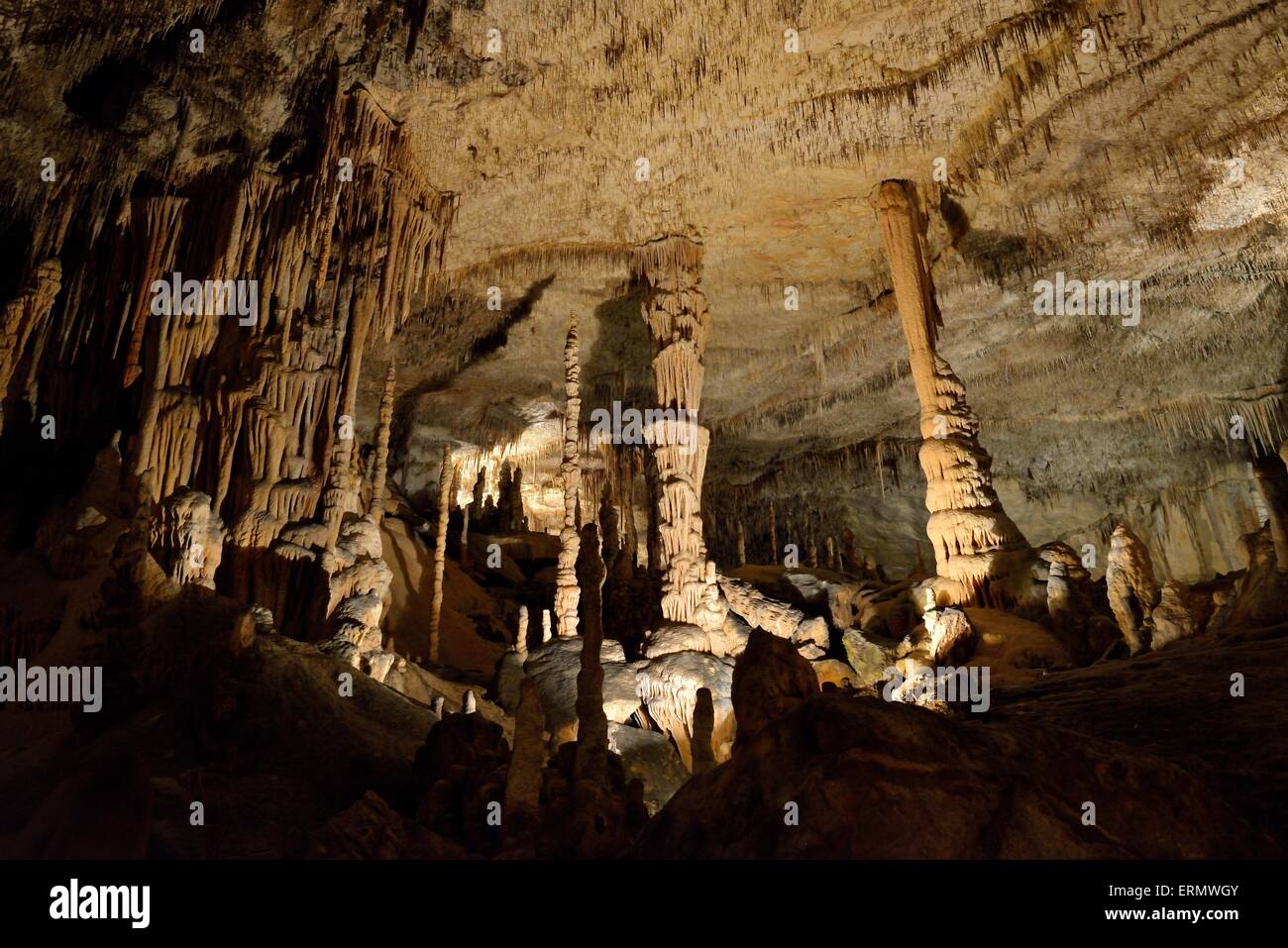 Grottes del Drach, Cuevas del Drach, Caverne du Dragon, Porto Cristo, Majorque, Îles Baléares, Espagne Banque D'Images