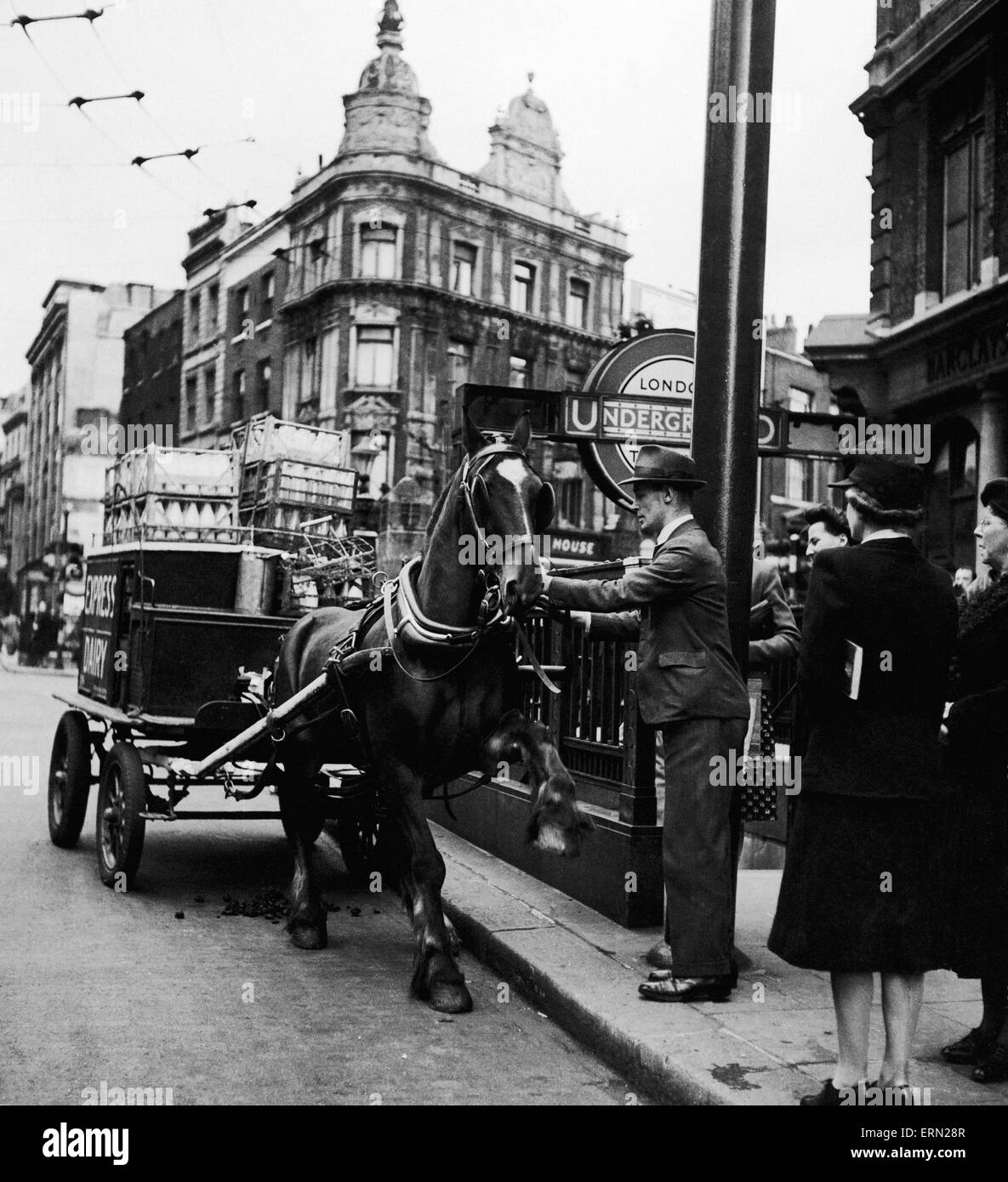 Panier Lait, cheval rétif dans les puits, pris à Holborn juin 1946. Banque D'Images