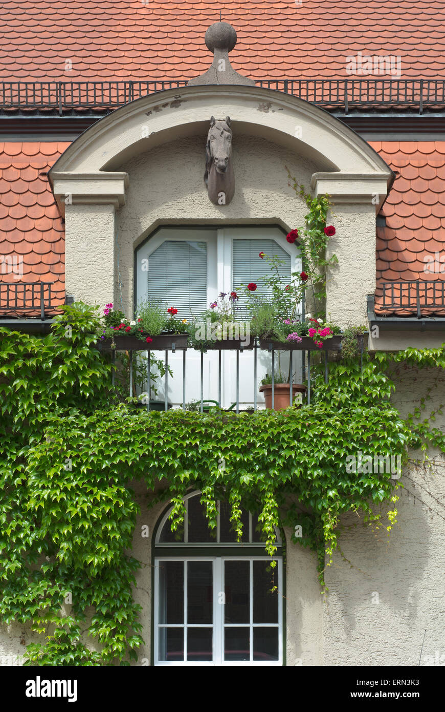 Grimpantes de lierre sur une maison avec tête de cheval et fleurs Banque D'Images