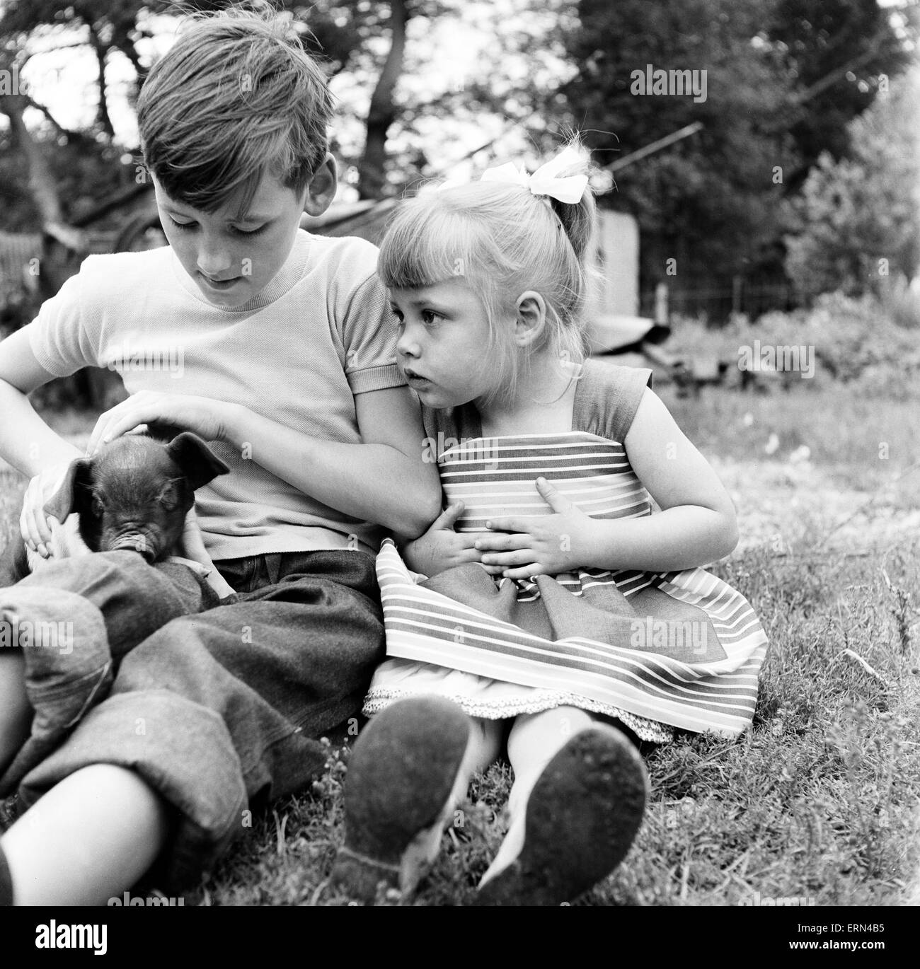 Frères et sœurs, Helen (3) et Paul Burrows (9) de Waterloo, Londres, profiter de leur première journée à la campagne dans une ferme de Chipperfield, Herts, 7 septembre 1956. Banque D'Images