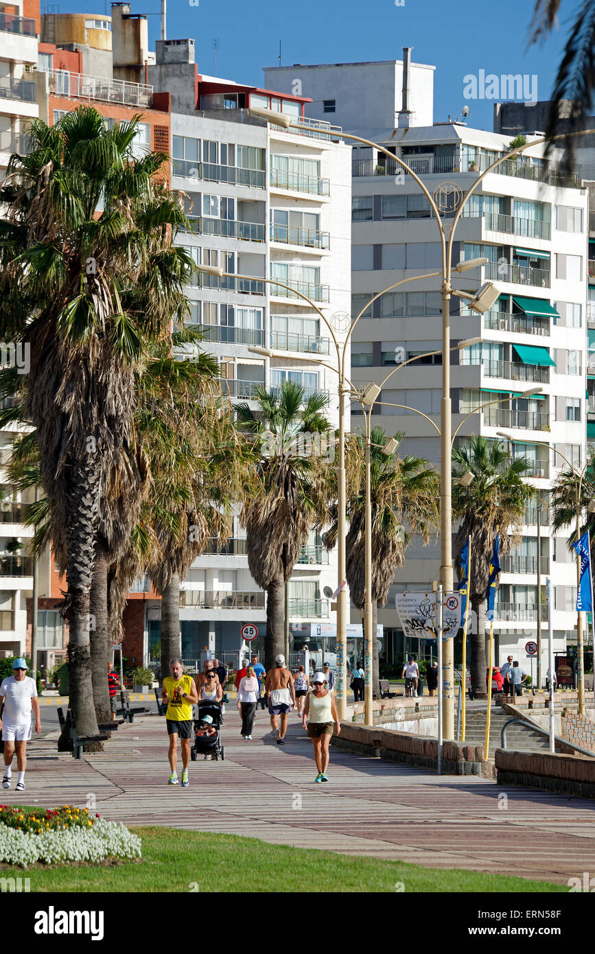 Les marcheurs le long de la Rambla de Playa de los Pocitos Montevideo Uruguay Banque D'Images