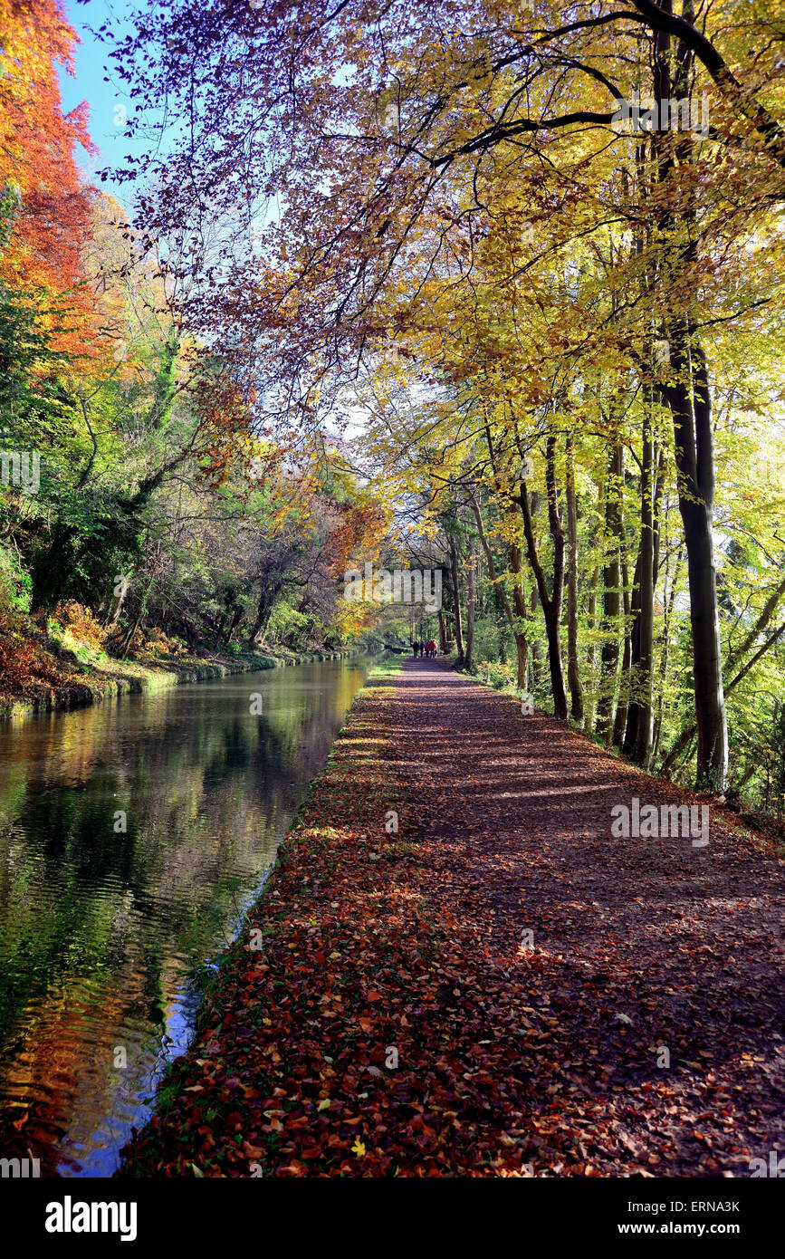 Couleurs d'automne le long du canal. Banque D'Images