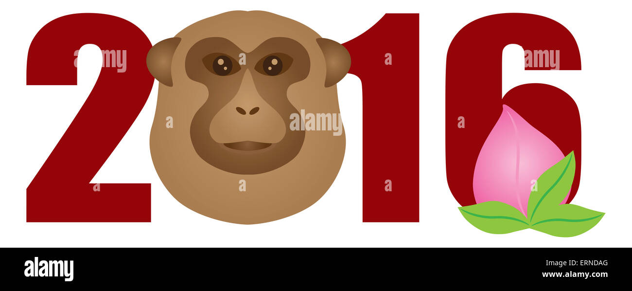 2016 Nouvelle Année lunaire chinoise du singe isolé sur fond blanc chiffres Illustration Couleur Banque D'Images