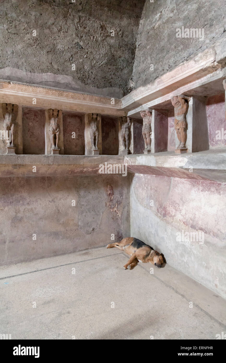 Telamons ou sculptée hommes formant des colonnes dans le tepidarium du Forum Baths Pompéi. Un chien est en train de dormir sous Banque D'Images