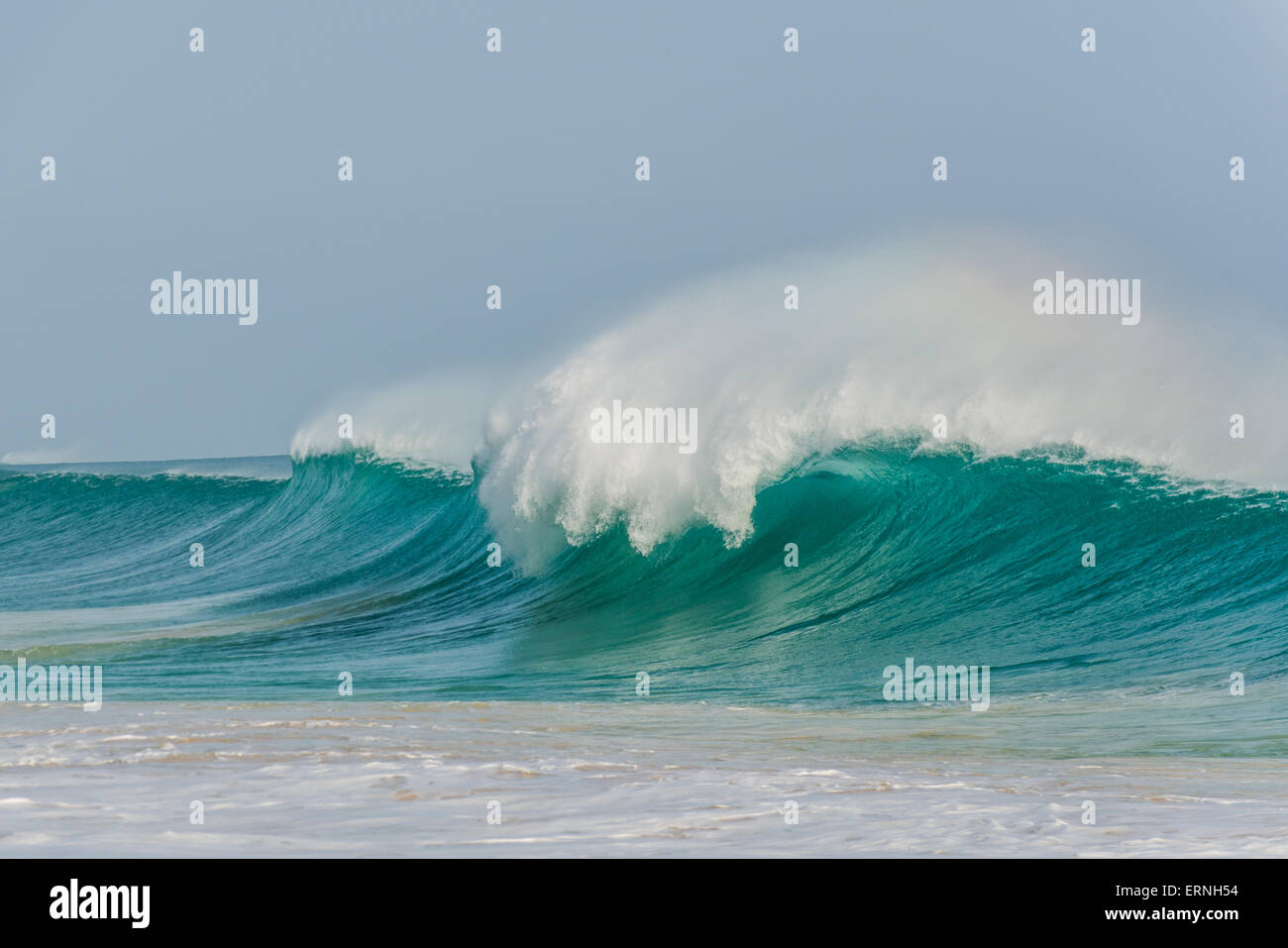 Hautes vagues sur les belles plages de Boa Vista au Cap Vert Banque D'Images