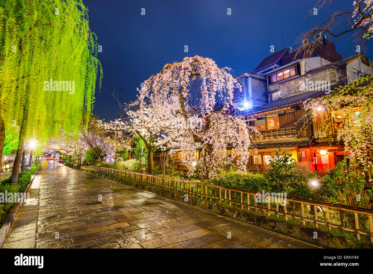 Kyoto (Japon) lors de l'historique quartier Shirakawa durant la saison de printemps. Banque D'Images