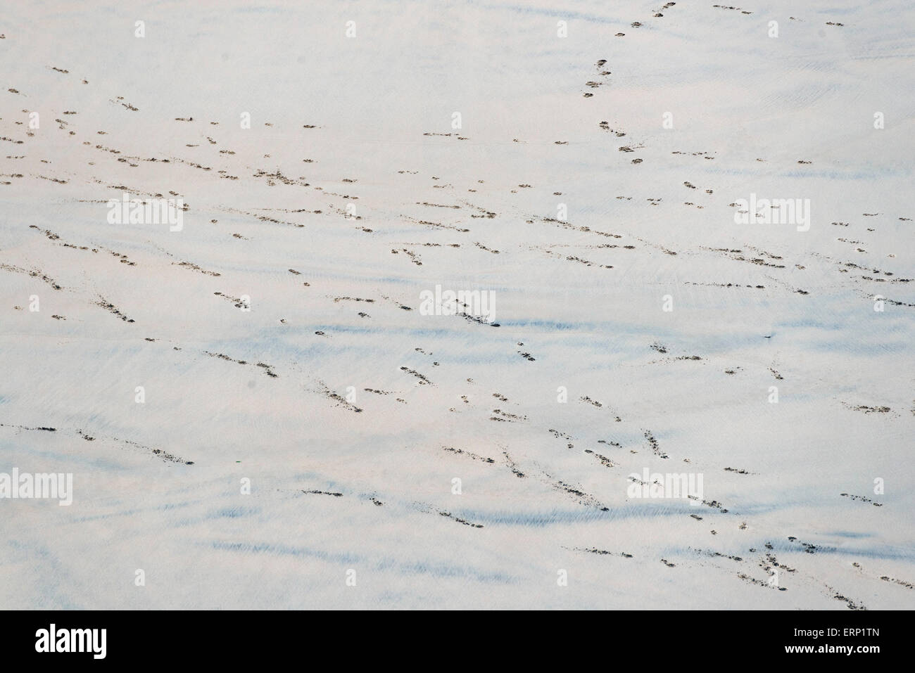 Empreintes de pas sur la plage en hiver Banque D'Images