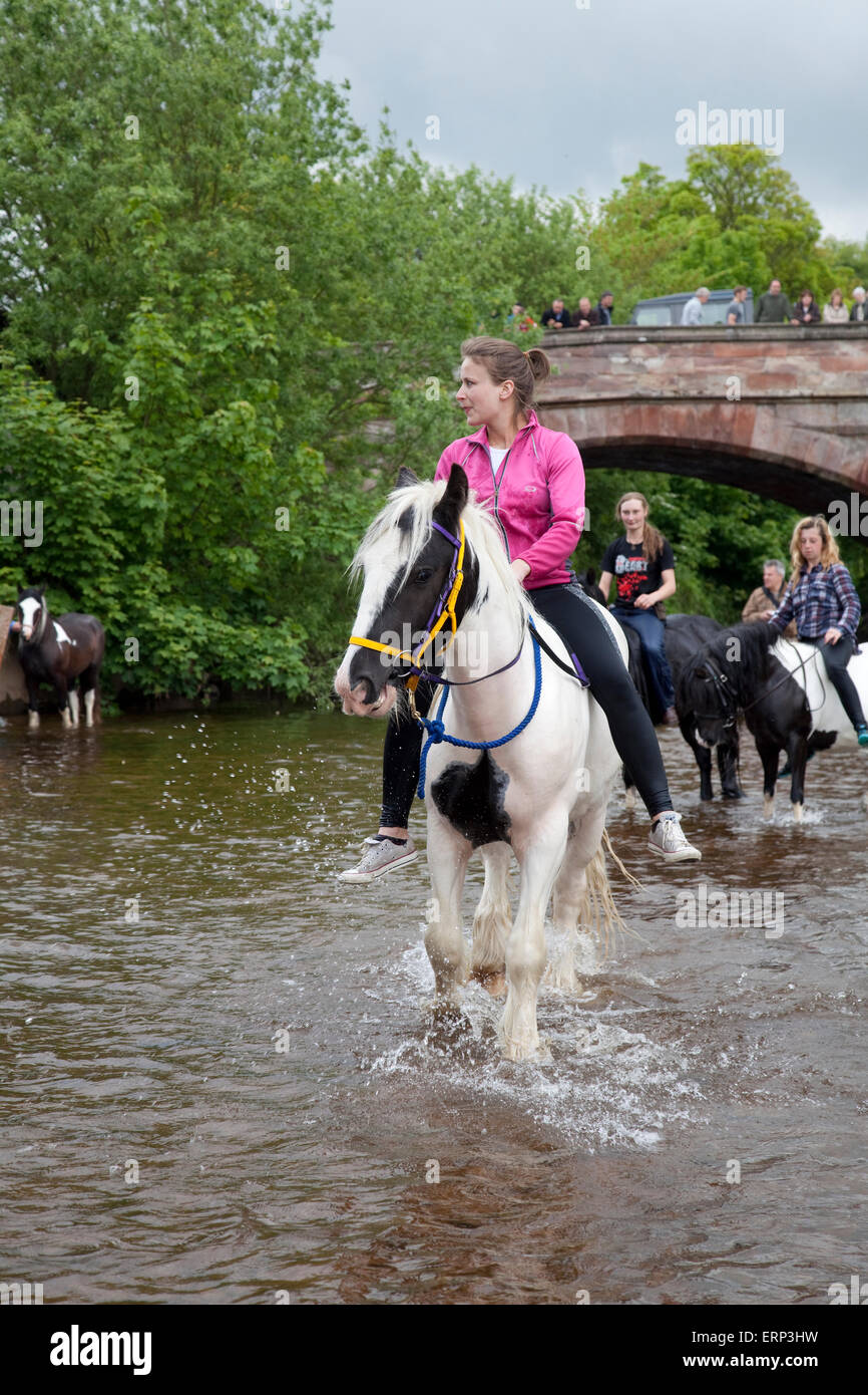 Appleby Horse Fair Cumbria UK Banque D'Images