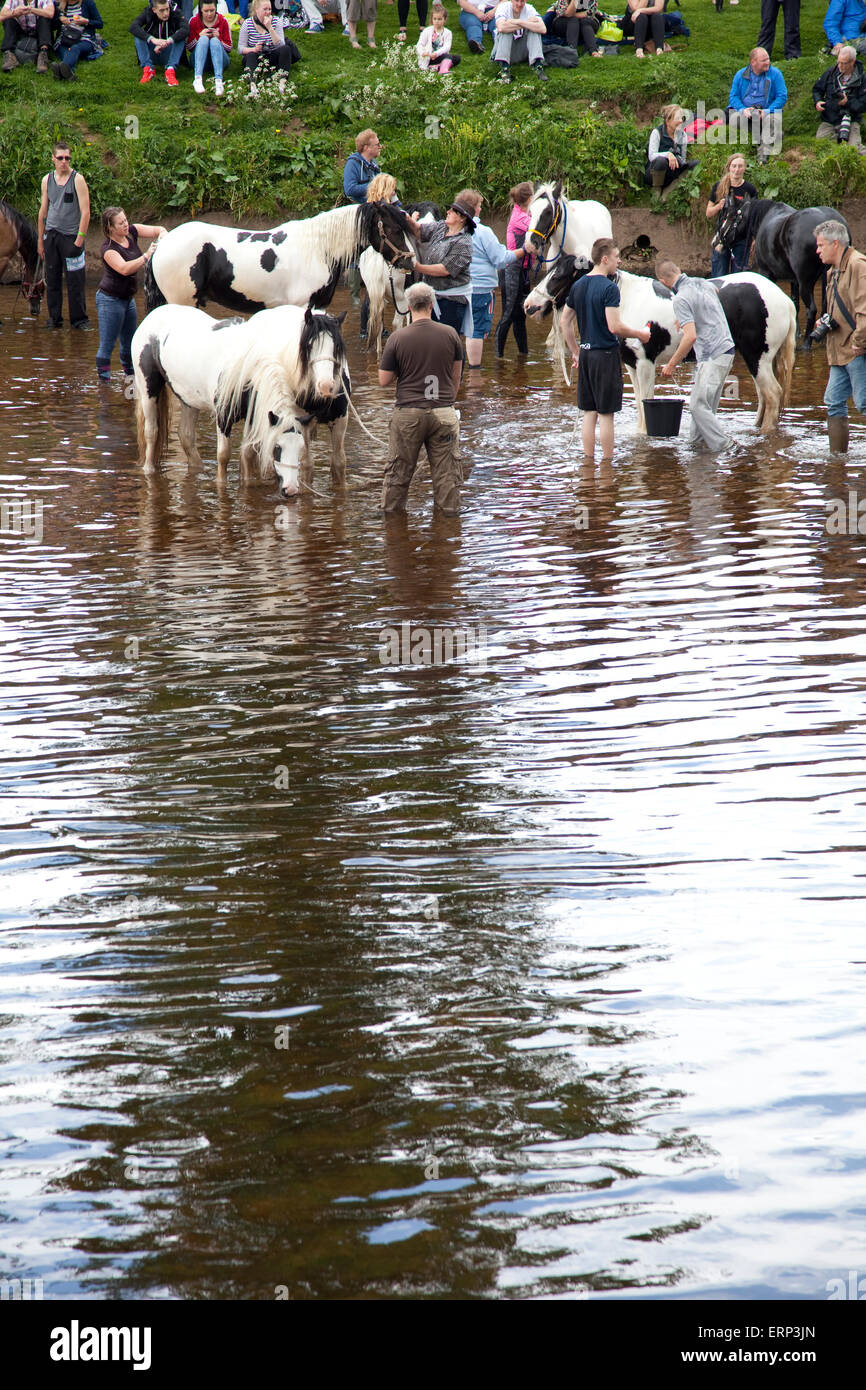 Appleby Horse Fair Cumbria UK Banque D'Images