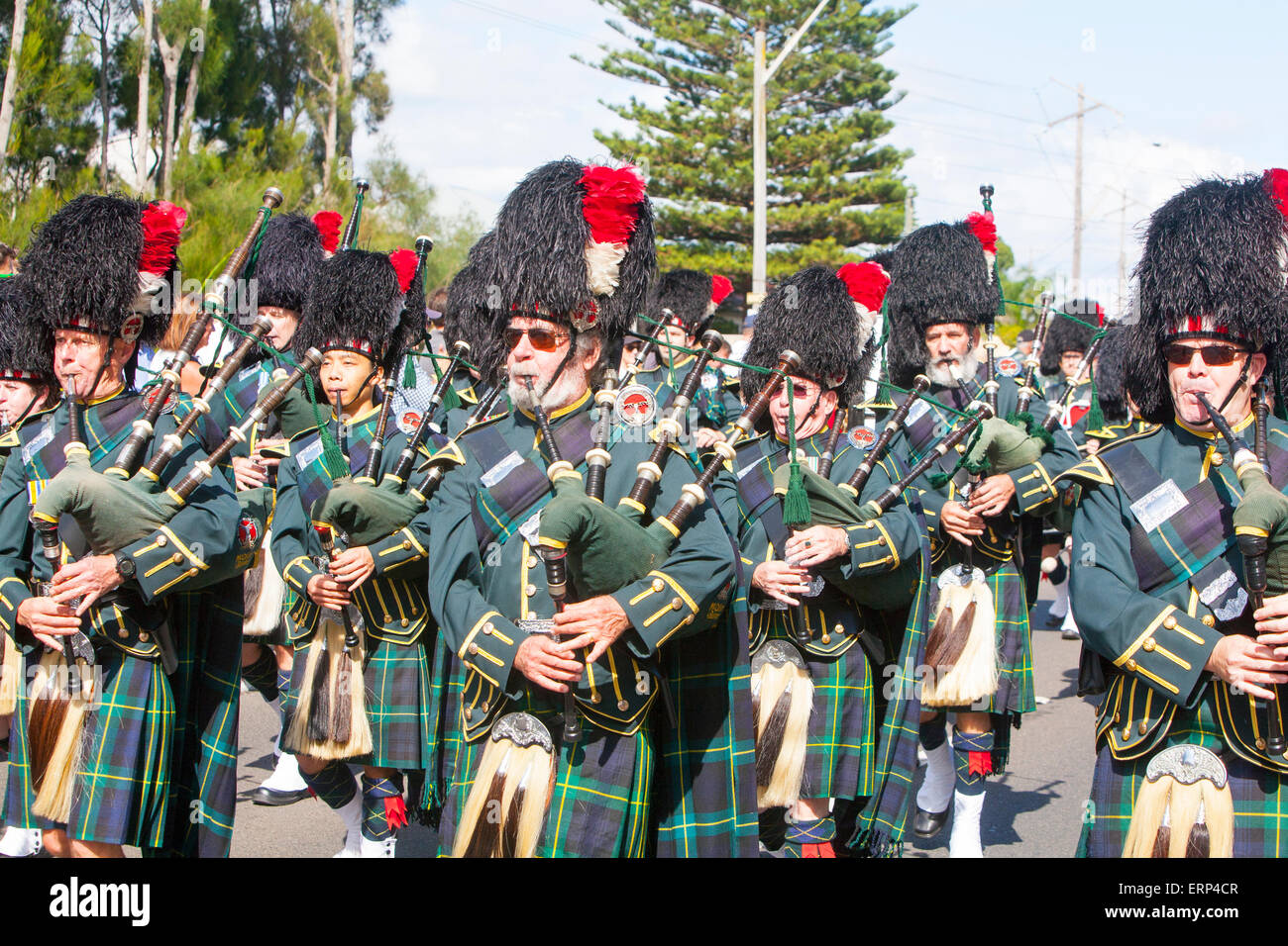 Cornemuse écossaise de parades à l'ANZAC day parade à North Sydney, Australie Banque D'Images