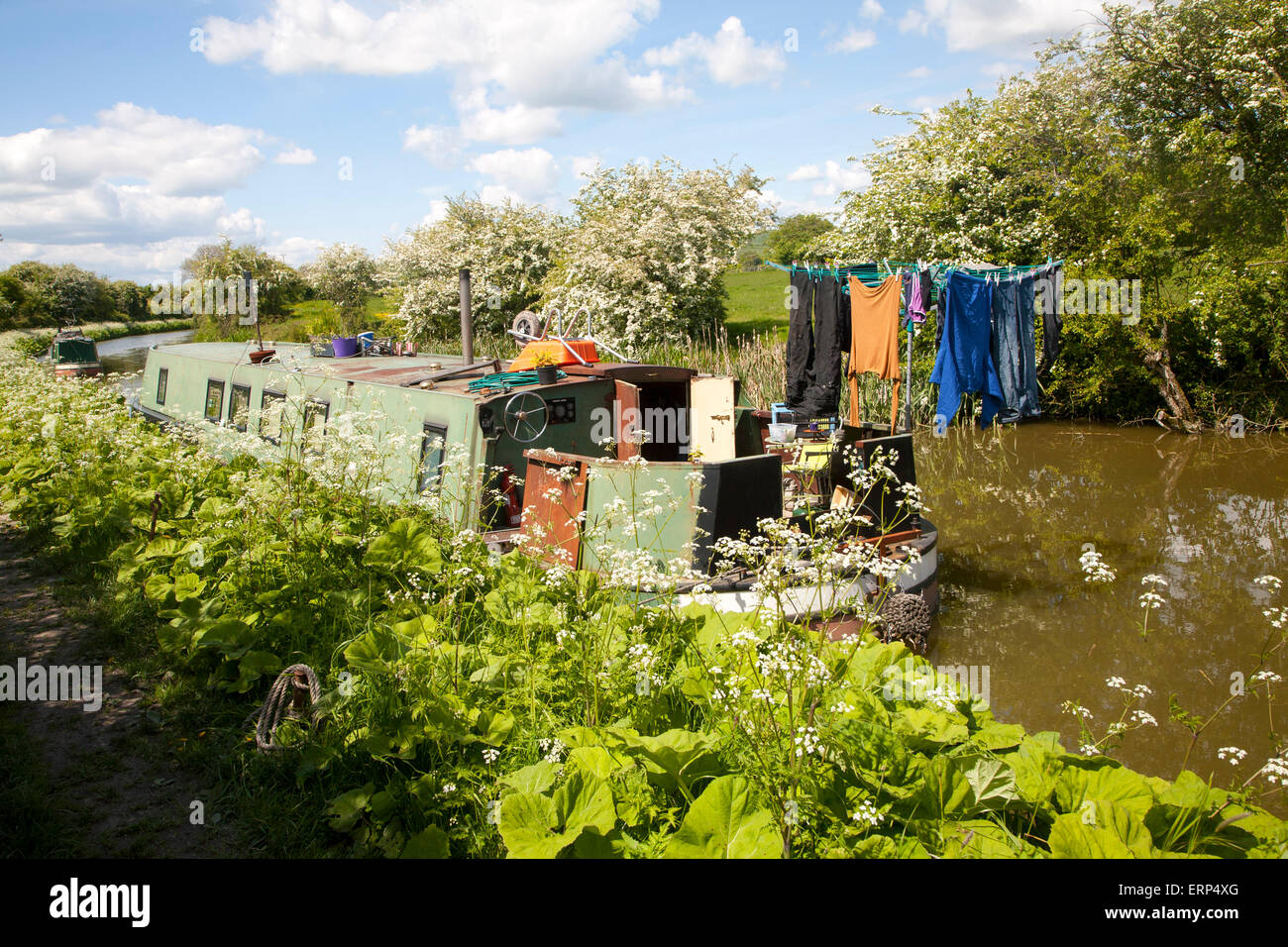 Kennet and Avon Canal tronçon entre tous les Cannings et Alton Barnes, Vale de Pewsey, Wiltshire, Angleterre Banque D'Images