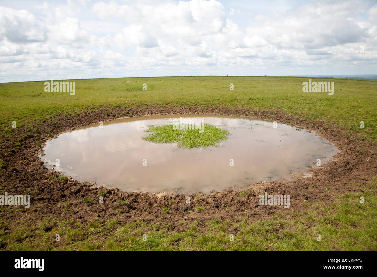 L'approvisionnement en eau de l'étang de rosée sur le haut de la colline, tous les Tan Cannings, Wiltshire, England, UK Banque D'Images