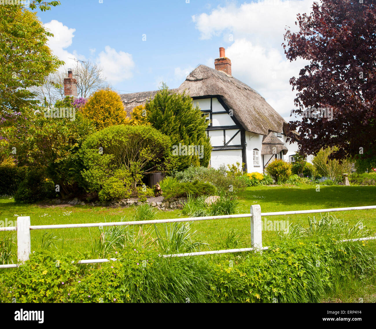 Joli chalet chaume dans le village d'Allington, Wiltshire, England, UK Banque D'Images